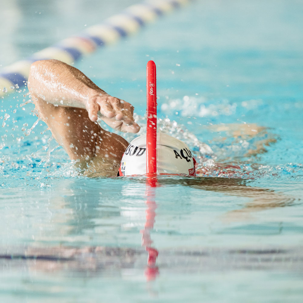 Natation Adultes